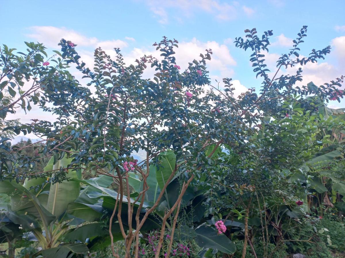 Homestay Hoàng Vũ Ha Giang Esterno foto